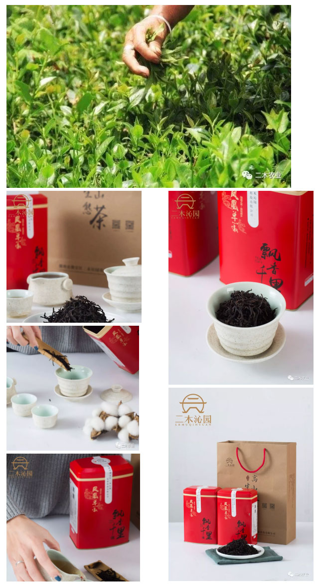 未标题-3.jpg